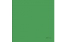 BD FOND STUDIO PAPIER 2,75 x 11 m Veri Green