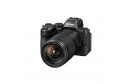 Top des ventes : 