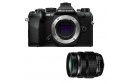 Top des ventes : 