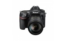 NIKON D850 + AF-S 24-120 mm f/4,0 G ED VR
