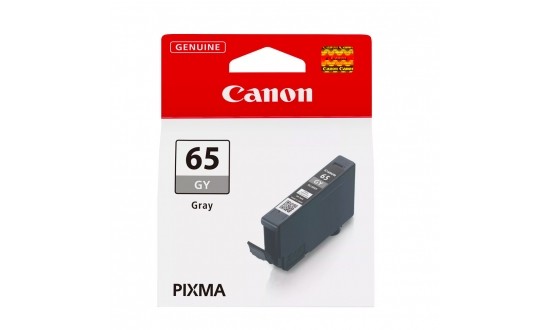 CANON CLI-65 ENCRE GRISE POUR PRO 200