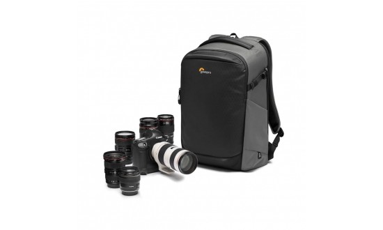 LOWEPRO FLIPSIDE 400 AW III gris