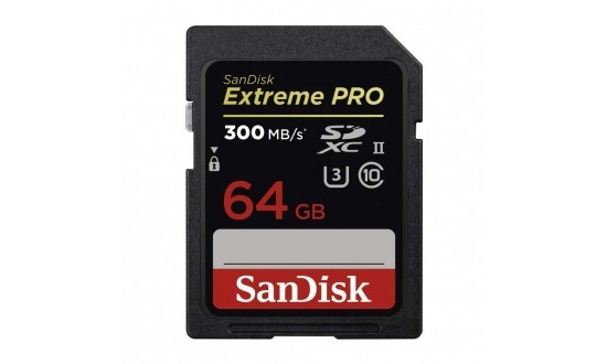 SANDISK 